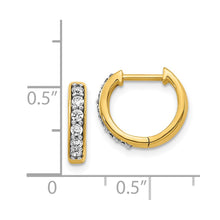 Load image into Gallery viewer, LADIES'S EARRING - HOOPS | EM4263-025-YA