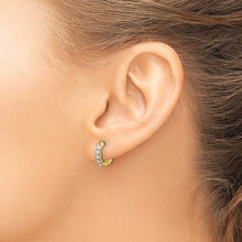 Load image into Gallery viewer, LADIES'S EARRING - HOOPS | EM4263-033-YA