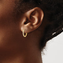 Load image into Gallery viewer, EARRING | EM5353-020-YA