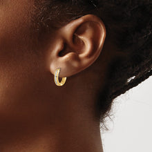 Load image into Gallery viewer, EARRING | EM5360-010-YA