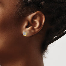 Load image into Gallery viewer, EARRING | EM5471-013-YA