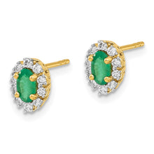 Load image into Gallery viewer, LADIES'S EARRING - CLASSIC | EM5591-EM-020-YA