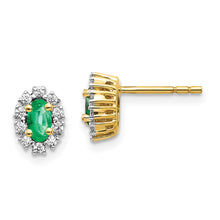 Load image into Gallery viewer, LADIES'S EARRING - CLASSIC | EM5591-EM-020-YA
