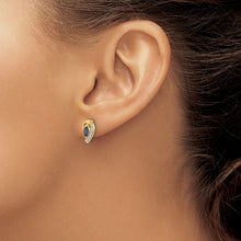 Load image into Gallery viewer, EARRING | EM5592-SA-005-YA