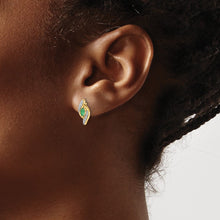 Load image into Gallery viewer, EARRING | EM5594-EM-007-YA