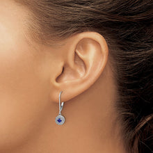 Load image into Gallery viewer, LADIES'S EARRING - CLASSIC | EM5605-SA-020-WA