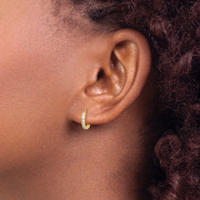 Load image into Gallery viewer, LADIES'S EARRING - HOOPS | GK542