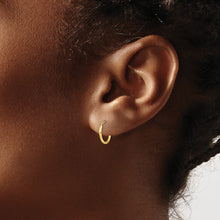 Load image into Gallery viewer, LADIES'S EARRING - HOOPS | GK565