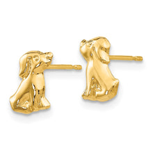 Load image into Gallery viewer, LADIES'S EARRING - CLASSIC | SE2054