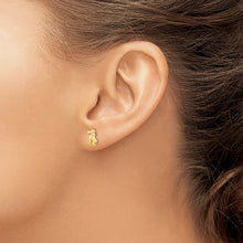 Load image into Gallery viewer, LADIES'S EARRING - CLASSIC | SE2054
