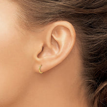 Load image into Gallery viewer, LADIES'S EARRING - HOOPS | SE232