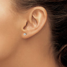 Load image into Gallery viewer, LADIES'S EARRING - CLASSIC | ST1-25W