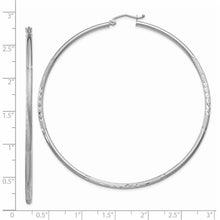 Load image into Gallery viewer, LADIES'S EARRING - HOOPS | TC206