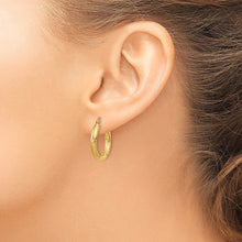 Load image into Gallery viewer, LADIES'S EARRING - HOOPS | TC290