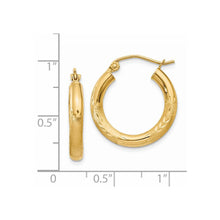 Load image into Gallery viewer, LADIES'S EARRING - HOOPS | TC290