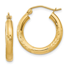 Load image into Gallery viewer, LADIES'S EARRING - HOOPS | TC290