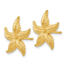 Load image into Gallery viewer, LADIES'S EARRING - CLASSIC | TC587