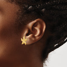 Load image into Gallery viewer, LADIES'S EARRING - CLASSIC | TC587