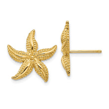 Load image into Gallery viewer, LADIES'S EARRING - CLASSIC | TC587
