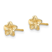 Load image into Gallery viewer, LADIES'S EARRING - CLASSIC | TC623