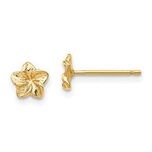 Load image into Gallery viewer, LADIES'S EARRING - CLASSIC | TC623