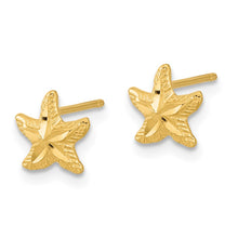 Load image into Gallery viewer, LADIES'S EARRING - CLASSIC | TC993