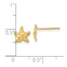 Load image into Gallery viewer, LADIES'S EARRING - CLASSIC | TC993