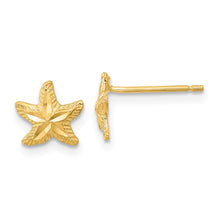 Load image into Gallery viewer, LADIES'S EARRING - CLASSIC | TC993