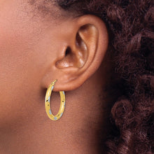 Load image into Gallery viewer, LADIES'S EARRING - HOOPS | TF1022