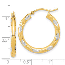 Load image into Gallery viewer, LADIES'S EARRING - HOOPS | TF1022