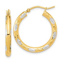 Load image into Gallery viewer, LADIES'S EARRING - HOOPS | TF1022