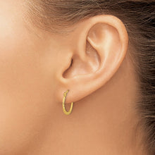 Load image into Gallery viewer, LADIES'S EARRING - HOOPS | TF1049