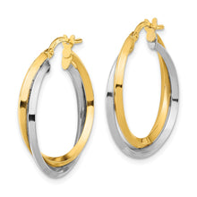 Load image into Gallery viewer, LADIES'S EARRING - HOOPS | TF1194