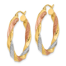 Load image into Gallery viewer, LADIES'S EARRING - HOOPS | TF1299