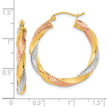Load image into Gallery viewer, LADIES'S EARRING - HOOPS | TF1299