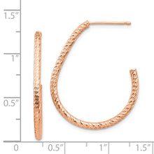 Load image into Gallery viewer, LADIES'S EARRING - HOOPS | TF1378R