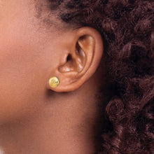 Load image into Gallery viewer, LADIES'S EARRING - CLASSIC | TF1529