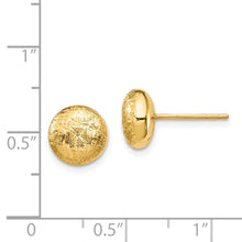 Load image into Gallery viewer, LADIES'S EARRING - CLASSIC | TF1529