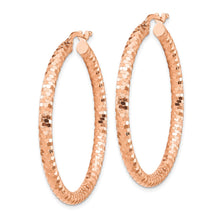 Load image into Gallery viewer, LADIES'S EARRING - HOOPS | TF1704R