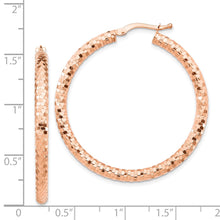 Load image into Gallery viewer, LADIES'S EARRING - HOOPS | TF1704R