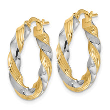 Load image into Gallery viewer, LADIES'S EARRING - HOOPS | TF1967