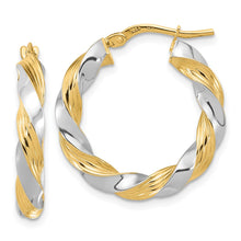 Load image into Gallery viewer, LADIES'S EARRING - HOOPS | TF1967