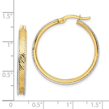 Load image into Gallery viewer, LADIES'S EARRING - HOOPS | TF2074