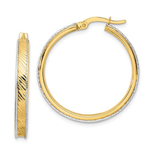 Load image into Gallery viewer, LADIES'S EARRING - HOOPS | TF2074