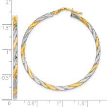 Load image into Gallery viewer, LADIES'S EARRING - HOOPS | TF2085