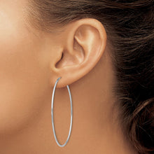 Load image into Gallery viewer, LADIES'S EARRING - HOOPS | TF796