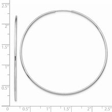 Load image into Gallery viewer, LADIES'S EARRING - HOOPS | TF796