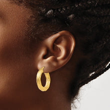 Load image into Gallery viewer, LADIES'S EARRING - HOOPS | TF927