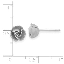 Load image into Gallery viewer, LADIES'S EARRING - CLASSIC | TL1107