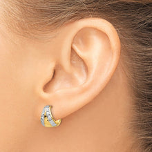 Load image into Gallery viewer, LADIES'S EARRING - HOOPS | TL558
